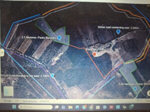 Terreno Olival do Padre Bacalhau 